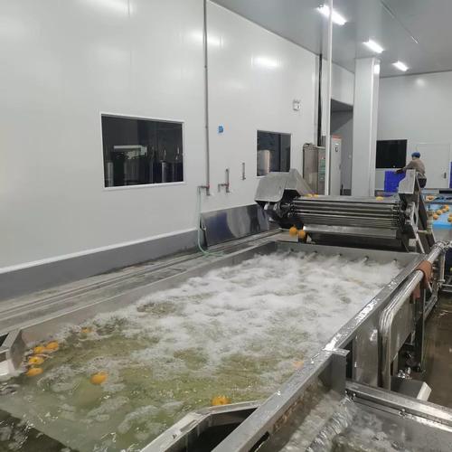 超聲波清洗設(shè)備 從源頭工廠視角看百香果、小金桔、橙子、黃皮的高效清潔解決方案